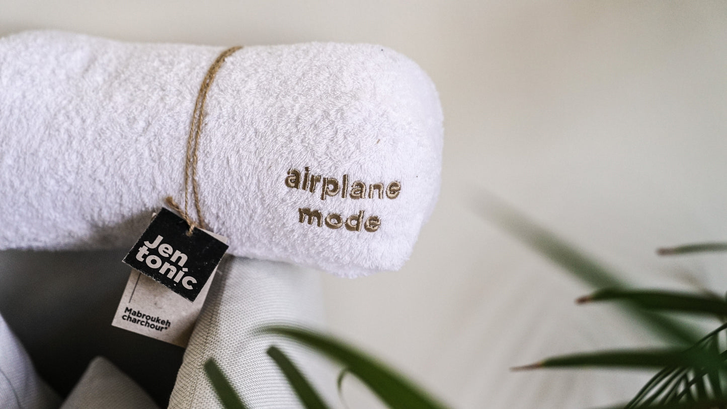 Airplane Mode Pillow